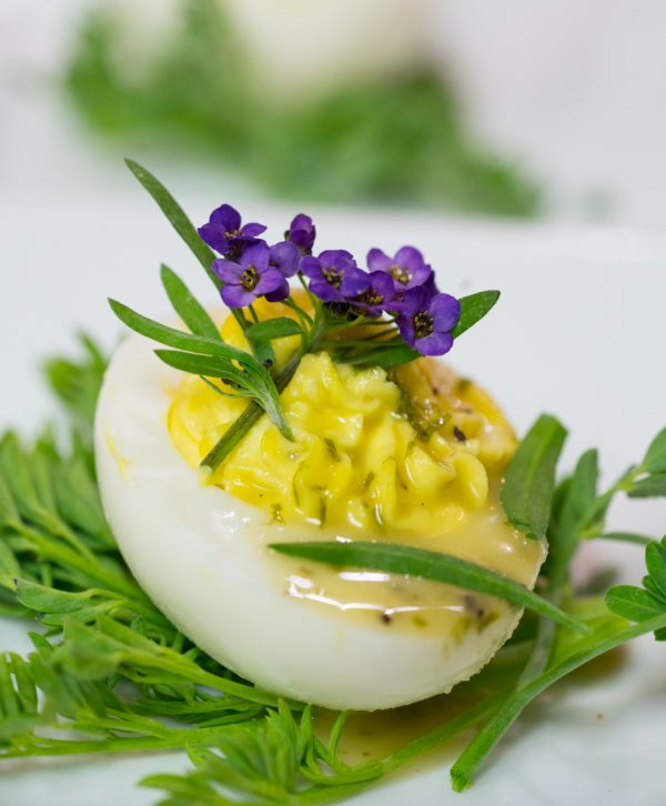 deviled egg