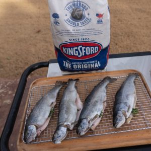 kingsford trout