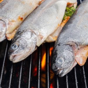 trout on grill