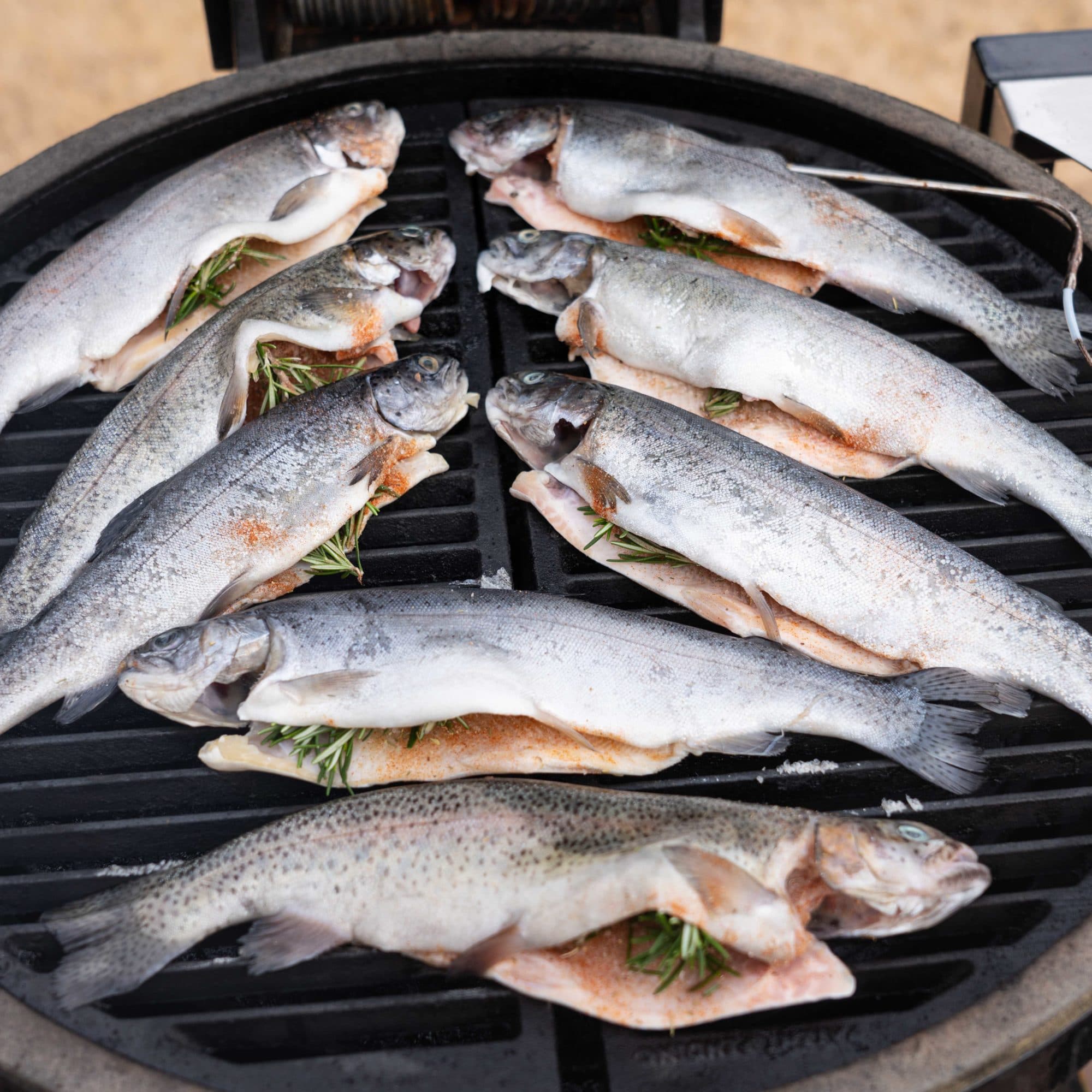 trout on grill Melissa Cookston