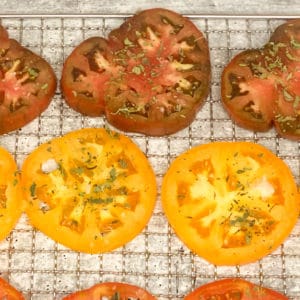 Make Your Own Sun-dried Tomatoes! - Melissa Cookston